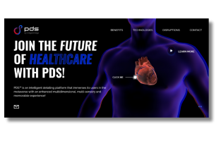 Explore detailing in the metaverse PDS — where intelligence meets immersion!