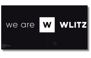 Wlitz – web excellence from the creators of Coderiver